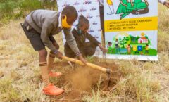 School children at the forefront to increase tree cover in rural Kenya